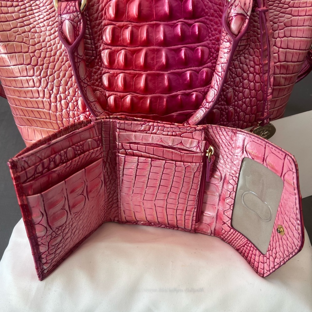 Brahmin Cupid Ombré Melbourne - Picture 12 of 16